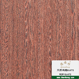 天然鸡翅5147S
