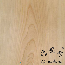 西楠桦木皮