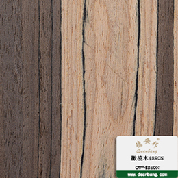橄榄木4850N