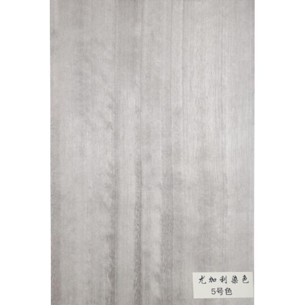 尤加利染色-5号色